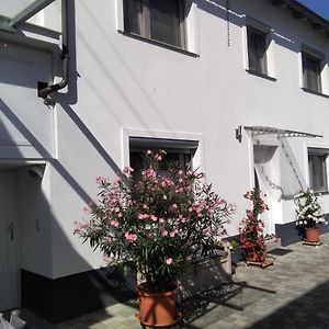 Niederkirchen bei DeidesheimFerienhaus Fam. Bisgen公寓 Exterior photo