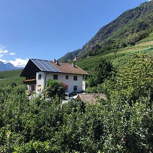 卡斯泰尔贝洛Pixnerhof - Urlaub Am Biohof公寓 Exterior photo