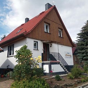 Haus Lowenzahn Hüttenrode Exterior photo