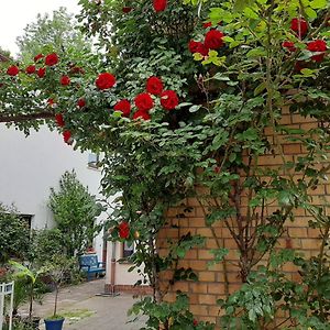 Fewo Rosenblute Am Stadtpark Wittenberg Exterior photo