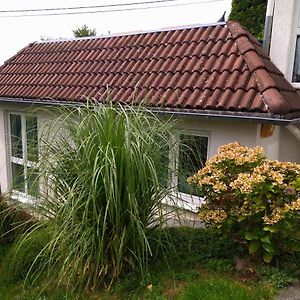 Ferienwohnung Im Naturpark Rhein-Westerwald Rengsdorf Exterior photo