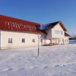 FerschnitzLandhaus Schaidreith公寓 Exterior photo