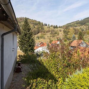 Bright Holiday Home In Sch Nbrunn With Garden Langenbach  Exterior photo