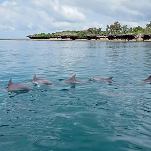 Wasini Raha Snorkeling And Diving公寓 Exterior photo