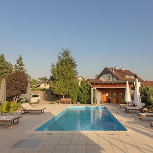 Pool Villa Izabela With Wellness - Happy Rentals Križevci pri Ljutomeru Exterior photo