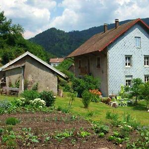 Appartement De 3 Chambres Avec Jardin Amenage Et Wifi A Plancher Les Mines A 7 Km Des Pistes Exterior photo