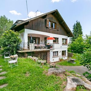 Chalet De 7 Chambres Avec Jardin Amenage Et Wifi A Wangenbourg Engenthal Exterior photo