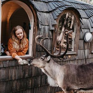 艾斯堡Igluhut - Sleep With Reindeer别墅 Exterior photo