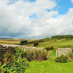 Roman Cottage - - Hadrian'S Wall Dark Sky Outpost. 泰恩河畔纽卡斯尔 Exterior photo