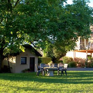 Ferienwohnung Hoffmann - Eifel Nimshuscheid Exterior photo