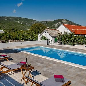 Blizna DonjaHouse Camellia With Fenced Pool And Playground别墅 Exterior photo