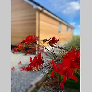 The Gallafield, Self Catering Bungalow , Stornoway 斯托诺韦 Exterior photo