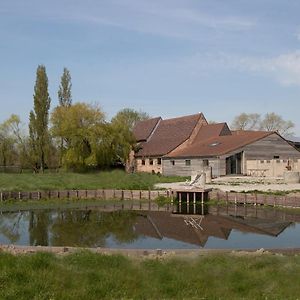 Landelijk Vakantiehuis In Diksmuide Met Een Tuin En Vijver Exterior photo