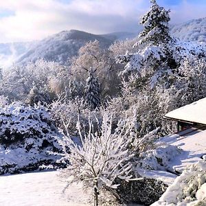 Vintage Chalet In Sougn Remouchamps Near Forest 艾韦 Exterior photo