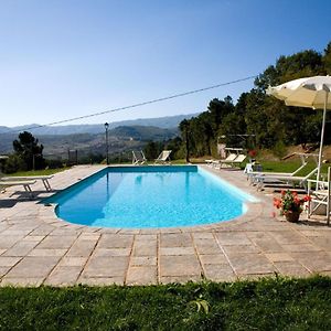 Villa Liz Tuscany, Private Pool, Hot Tub, Property Fenced, Pets Allowed 波皮 Exterior photo