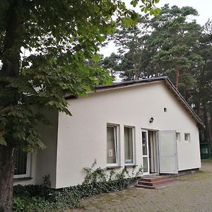 Pokoje Delfin Hostel Mrzeżyno Exterior photo