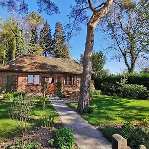 Wyndthorpe Cottage Milton Abbas Exterior photo