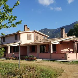 Villa Nel Verde 伊格莱西亚斯 Exterior photo