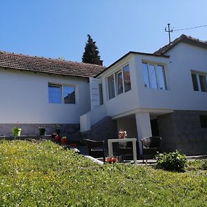 Villa Banja Koviljača Exterior photo