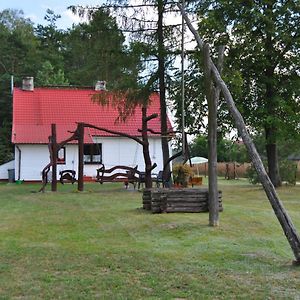 Agroturystyka "Lesne Zacisze Na Podlasiu" Tuczna Exterior photo