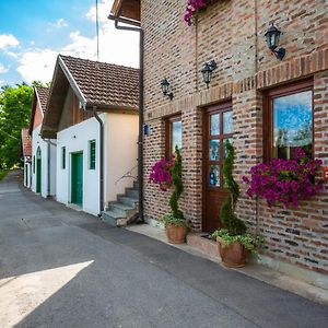 Kneževi Vinogradi Podrumi Kolar "Suza Baranje"旅馆 Exterior photo