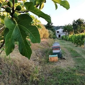 DovadolaNaturaliterre Bnb - Microfattoria住宿加早餐旅馆 Exterior photo