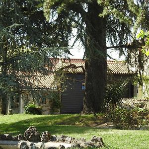 布兰奇塞利住宿加早餐旅馆 勒皮圣博内 Exterior photo