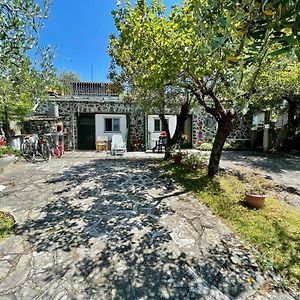 Rosy Apartment - Levanto, 5 Terre Exterior photo