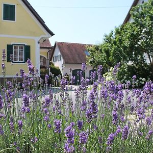 Bad GamsFarmer-Rabensteiner住宿加早餐旅馆 Exterior photo