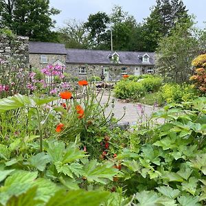 LlandysulCrug Yr Eryr Isaf别墅 Exterior photo