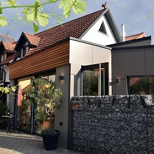 WillanzheimWinzerhof & Weincafe Guempelein公寓 Exterior photo