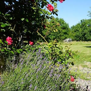 OrfűRural Idyll - Videki Idill别墅 Exterior photo