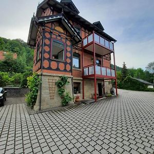 Ferienwohnung Villa Frosch 迈宁根 Exterior photo