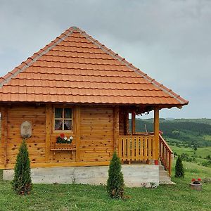 Nova VarošEtno Domacinstvo Uvacki Konaci别墅 Exterior photo