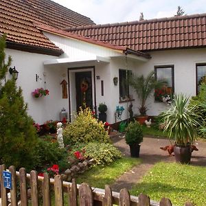 Ferienwohnung Lotti Wittenberg Exterior photo