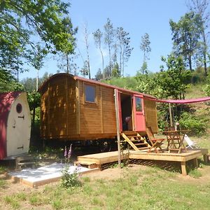 Rosa The Cosy Cabin - Gypsy Wagon - Shepherds Hut, River Views Off-Grid Eco Living 大佩德罗冈 Exterior photo