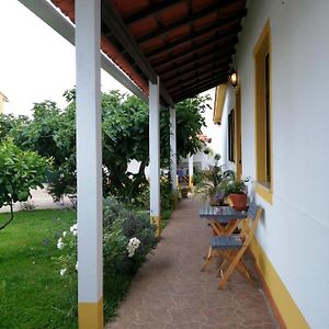 阿威罗Casa Dos Pingos De Mel住宿加早餐旅馆 Exterior photo