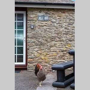 Hele Bay Cottage 伊尔弗勒科姆 Exterior photo