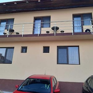 Orşova Casa Dalys酒店 Exterior photo