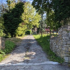 Gite Les Vernes Du Leman 11 A 13 Pers Maxilly-sur-Léman Exterior photo