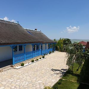 Casa Dima Sarichioi别墅 Exterior photo