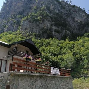 Apartmani Tara I Zabojsko Dobrilovina 莫伊科瓦茨 Exterior photo