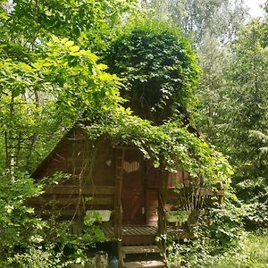 Aleksandrow Domek W Lesie别墅 Exterior photo