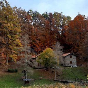 CorfinoAgriturismo Il Canale公寓 Exterior photo