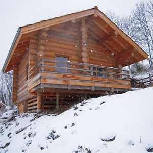 Saint-Martin-la-SauveteChalet Bois Chaleureux Avec Terrasse, Internet Et Animaux Acceptes - Fr-1-496-187别墅 Exterior photo