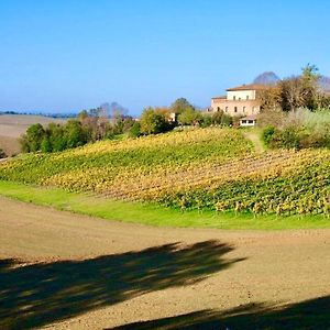 Agriturismo Poggiarellino - Montalcino公寓 Exterior photo