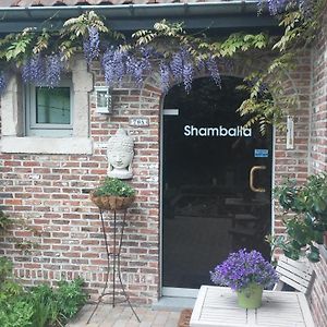 Shamballa B & B/ Logies 代因泽 Exterior photo