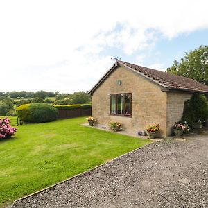 Ryecross Farm Cottage Melbury Abbas Exterior photo