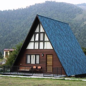 Borjomi Cottage Sadgeri Exterior photo