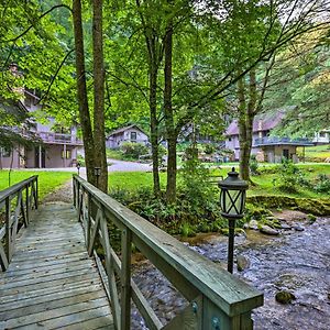 Roan MountainChalet Retreat Cozy Cabin With On-Site Creek!别墅 Exterior photo